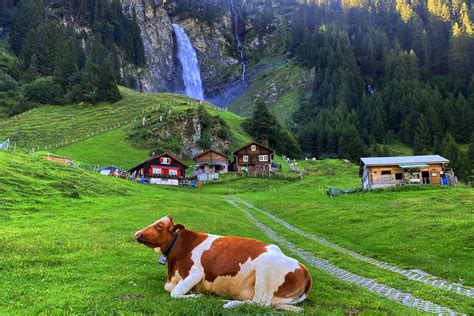 geheimtipp ausflug schweiz|TOP 51 Sehenswürdigkeiten der Schweiz (2024) – Tipps & Ideen